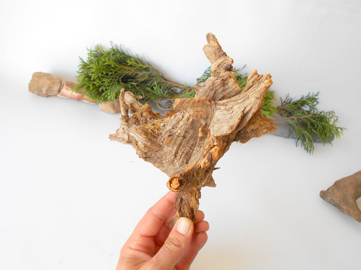 This is a naturally formed driftwood with a unique surface formed in a forest in the Rhodopes Mountain in Southern Europe- country Bulgaria. This piece of wood has been formed for many years and time has exposed the inner parts of the old tree wood.&amp;nbsp;  Size: 8.5&#39;&#39; x 6.5&#39;&#39; x 3.5&#39;&#39;-&amp;nbsp; 22 x 17 x 9 cm.&amp;nbsp;