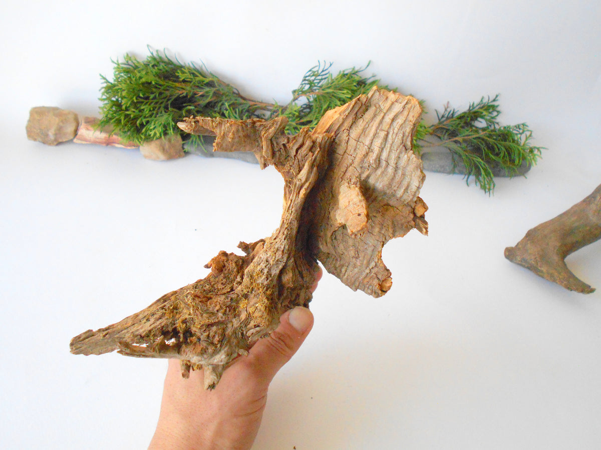 This is a naturally formed driftwood with a unique surface formed in a forest in the Rhodopes Mountain in Southern Europe- country Bulgaria. This piece of wood has been formed for many years and time has exposed the inner parts of the old tree wood.&amp;nbsp;  Size: 8.5&#39;&#39; x 6.5&#39;&#39; x 3.5&#39;&#39;-&amp;nbsp; 22 x 17 x 9 cm.&amp;nbsp;