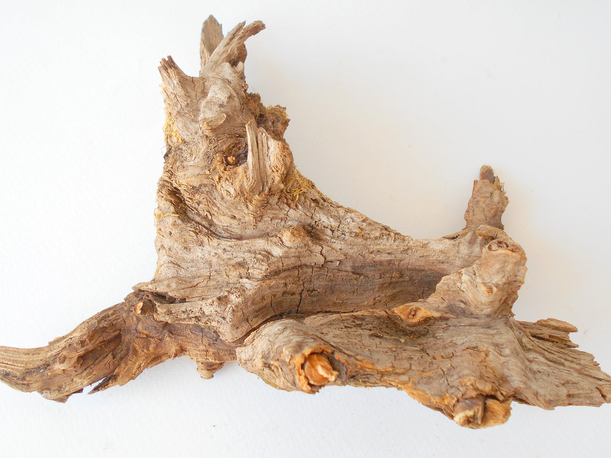 This is a naturally formed driftwood with a unique surface formed in a forest in the Rhodopes Mountain in Southern Europe- country Bulgaria. This piece of wood has been formed for many years and time has exposed the inner parts of the old tree wood.&amp;nbsp;  Size: 8.5&#39;&#39; x 6.5&#39;&#39; x 3.5&#39;&#39;-&amp;nbsp; 22 x 17 x 9 cm.&amp;nbsp;