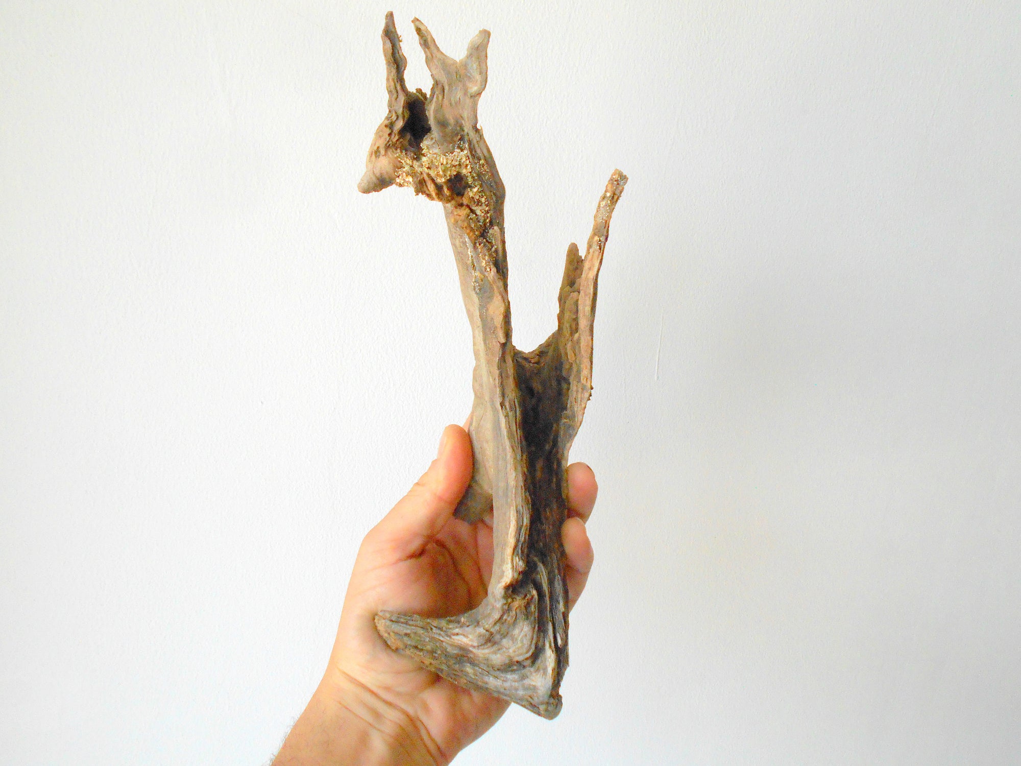 This is a naturally formed driftwood with a unique surface formed in a forest in the Rhodopes Mountain in Southern Europe- country Bulgaria. This piece of wood has been formed for many years and time has exposed the inner parts of the old tree wood.&nbsp;  Size: 11'' x 4'' x 2.5''-&nbsp; 28 x 10 x 6 cm.&nbsp;