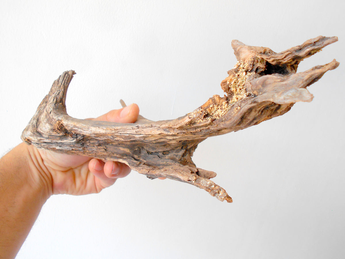 This is a naturally formed driftwood with a unique surface formed in a forest in the Rhodopes Mountain in Southern Europe- country Bulgaria. This piece of wood has been formed for many years and time has exposed the inner parts of the old tree wood.&amp;nbsp;  Size: 11&#39;&#39; x 4&#39;&#39; x 2.5&#39;&#39;-&amp;nbsp; 28 x 10 x 6 cm.&amp;nbsp;