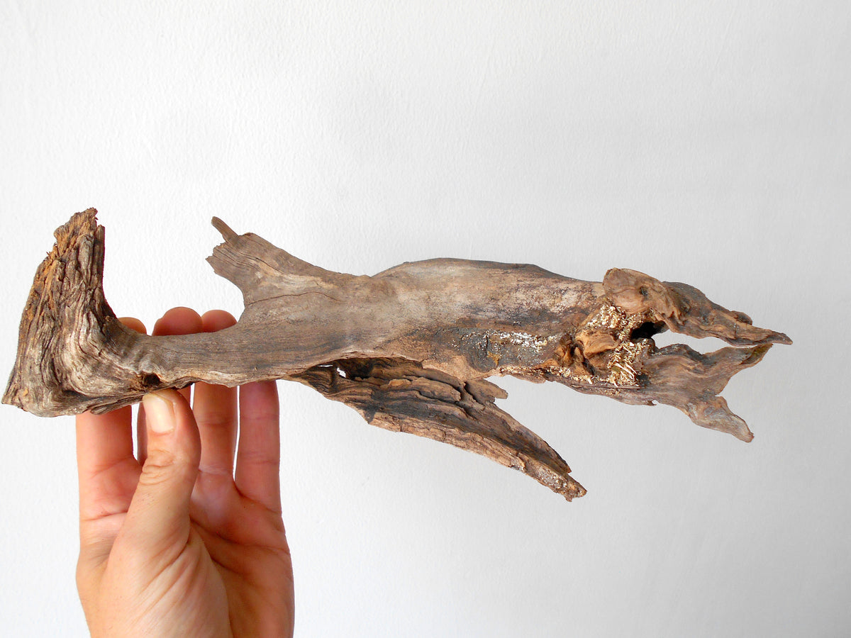 This is a naturally formed driftwood with a unique surface formed in a forest in the Rhodopes Mountain in Southern Europe- country Bulgaria. This piece of wood has been formed for many years and time has exposed the inner parts of the old tree wood.&amp;nbsp;  Size: 11&#39;&#39; x 4&#39;&#39; x 2.5&#39;&#39;-&amp;nbsp; 28 x 10 x 6 cm.&amp;nbsp;