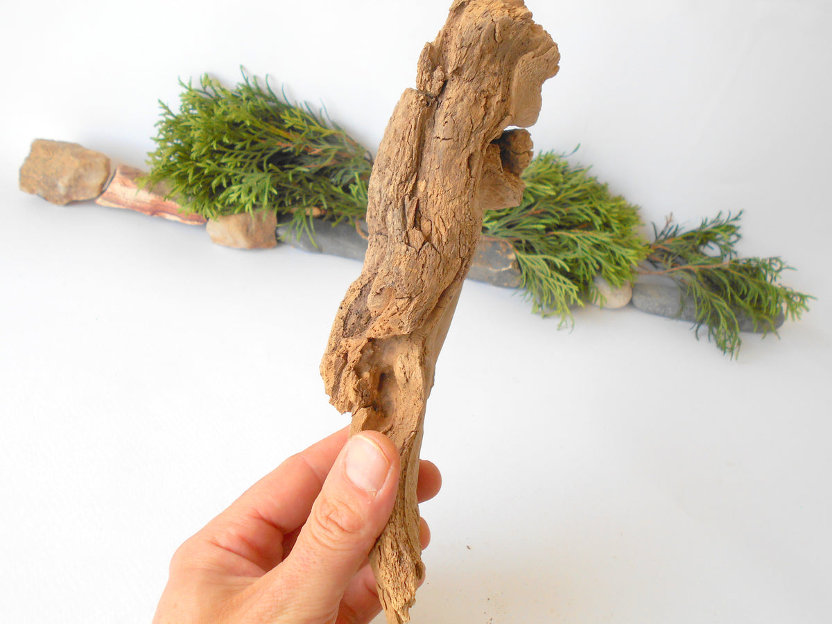 This is a naturally formed driftwood with a unique surface formed in a forest in the Rhodopes Mountain in Southern Europe- country Bulgaria. This piece of wood has been formed for many years and time has exposed the inner parts of the old tree wood. It looks like a small boat or a small pirate ship.  Size: 8.5&#39;&#39; x 3&#39;&#39; x 2.5&#39;&#39;-&amp;nbsp; 22 x 8 x 6 cm.&amp;nbsp;