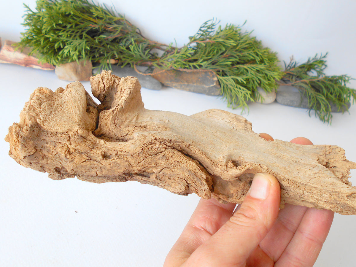 This is a naturally formed driftwood with a unique surface formed in a forest in the Rhodopes Mountain in Southern Europe- country Bulgaria. This piece of wood has been formed for many years and time has exposed the inner parts of the old tree wood. It looks like a small boat or a small pirate ship.  Size: 8.5&#39;&#39; x 3&#39;&#39; x 2.5&#39;&#39;-&amp;nbsp; 22 x 8 x 6 cm.&amp;nbsp;