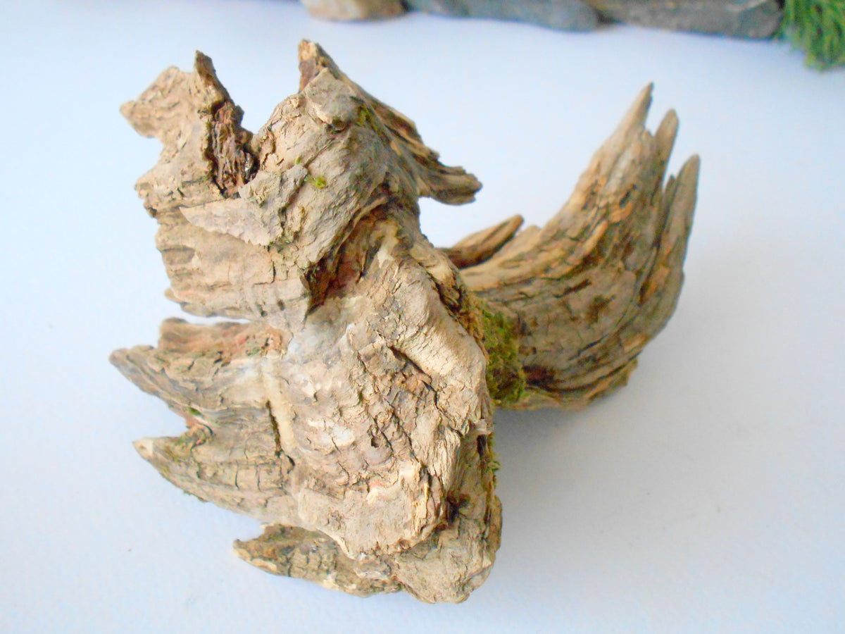 This is a naturally formed driftwood with a unique surface formed in a forest in the Rhodopes Mountain in Southern Europe- country Bulgaria. This piece of wood has been formed for many years and time has exposed the inner parts of the old tree wood. It looks like a small boat or a small pirate ship.  Size: 7&#39;&#39; x 5&#39;&#39; x 4&#39;&#39;-&amp;nbsp; 18 x 13 x 10 cm.&amp;nbsp;