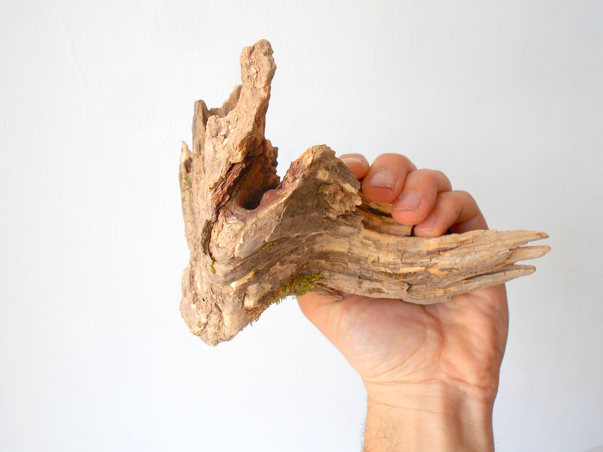 This is a naturally formed driftwood with a unique surface formed in a forest in the Rhodopes Mountain in Southern Europe- country Bulgaria. This piece of wood has been formed for many years and time has exposed the inner parts of the old tree wood. It looks like a small boat or a small pirate ship.  Size: 7&#39;&#39; x 5&#39;&#39; x 4&#39;&#39;-&amp;nbsp; 18 x 13 x 10 cm.&amp;nbsp;