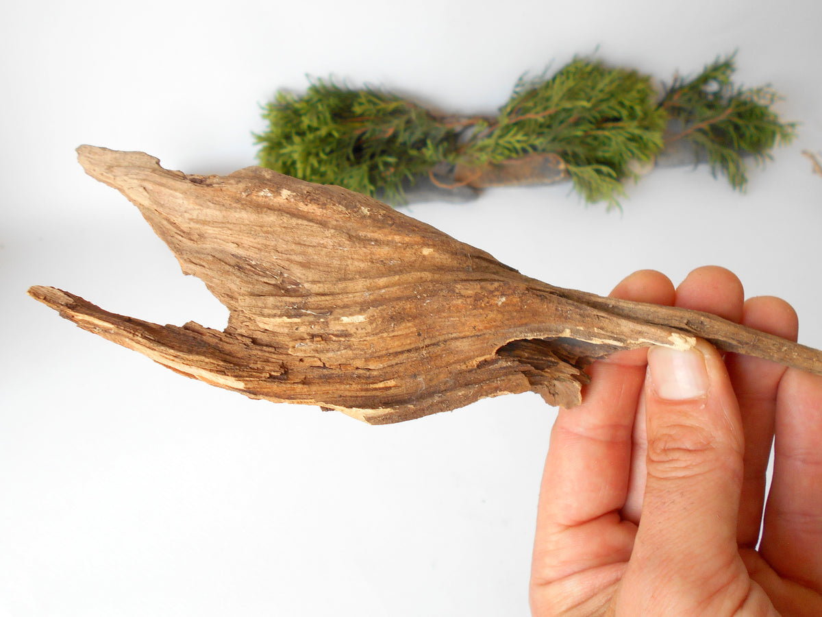 This is a naturally formed driftwood with a unique surface formed in a forest in the Rhodopes Mountain in Southern Europe- country Bulgaria. This piece of wood has been formed for many years and time has exposed the inner parts of the old tree wood.&amp;nbsp;  Size: about 8&#39;&#39; x 2.5&#39;&#39; x 1.5&#39;&#39;-&amp;nbsp; 20.5 x 6 x 4 cm.&amp;nbsp;