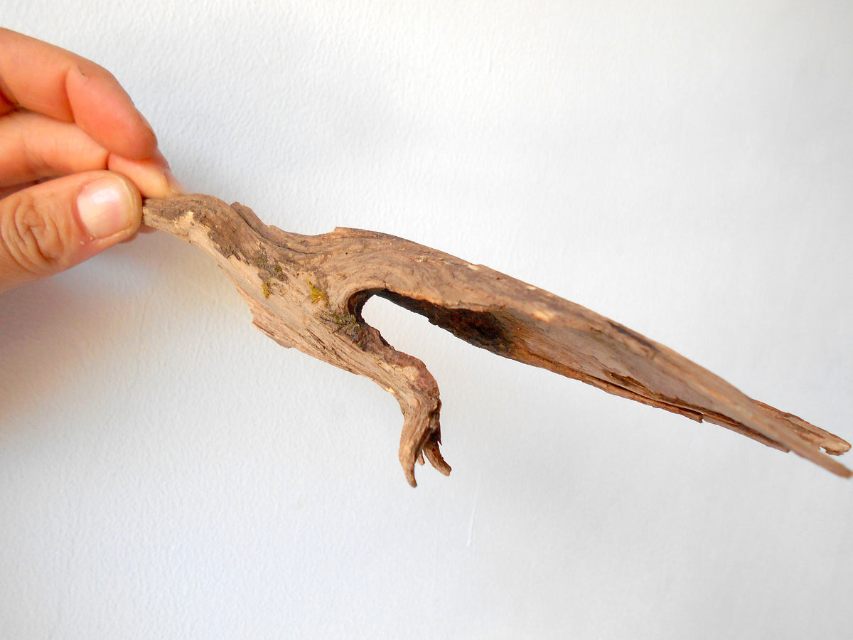 This is a naturally formed driftwood with a unique surface formed in a forest in the Rhodopes Mountain in Southern Europe- country Bulgaria. This piece of wood has been formed for many years and time has exposed the inner parts of the old tree wood.&amp;nbsp;  Size: about 8&#39;&#39; x 2.5&#39;&#39; x 1.5&#39;&#39;-&amp;nbsp; 20.5 x 6 x 4 cm.&amp;nbsp;