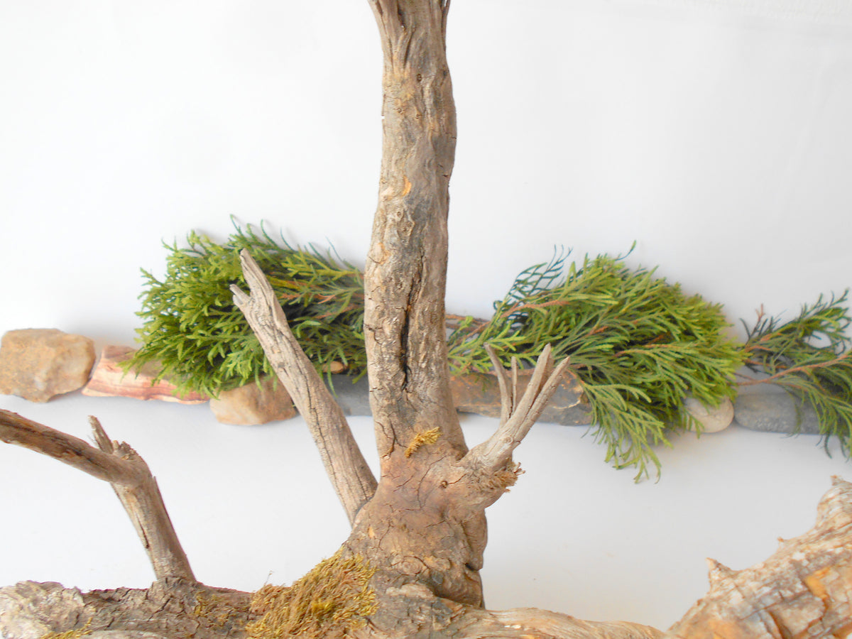 This is a naturally formed driftwood with a unique surface formed in a forest in the Rhodopes Mountain in Southern Europe- country Bulgaria. This piece of wood has been formed for many years and time has exposed the inner parts of the old tree wood. This &#39;specimen&#39; reminds me of an old deer with antlers.  Size: about 18&#39;&#39; x 10&#39;&#39; x 12&#39;&#39;-&amp;nbsp; 46 x 25 x 30 cm.&amp;nbsp;