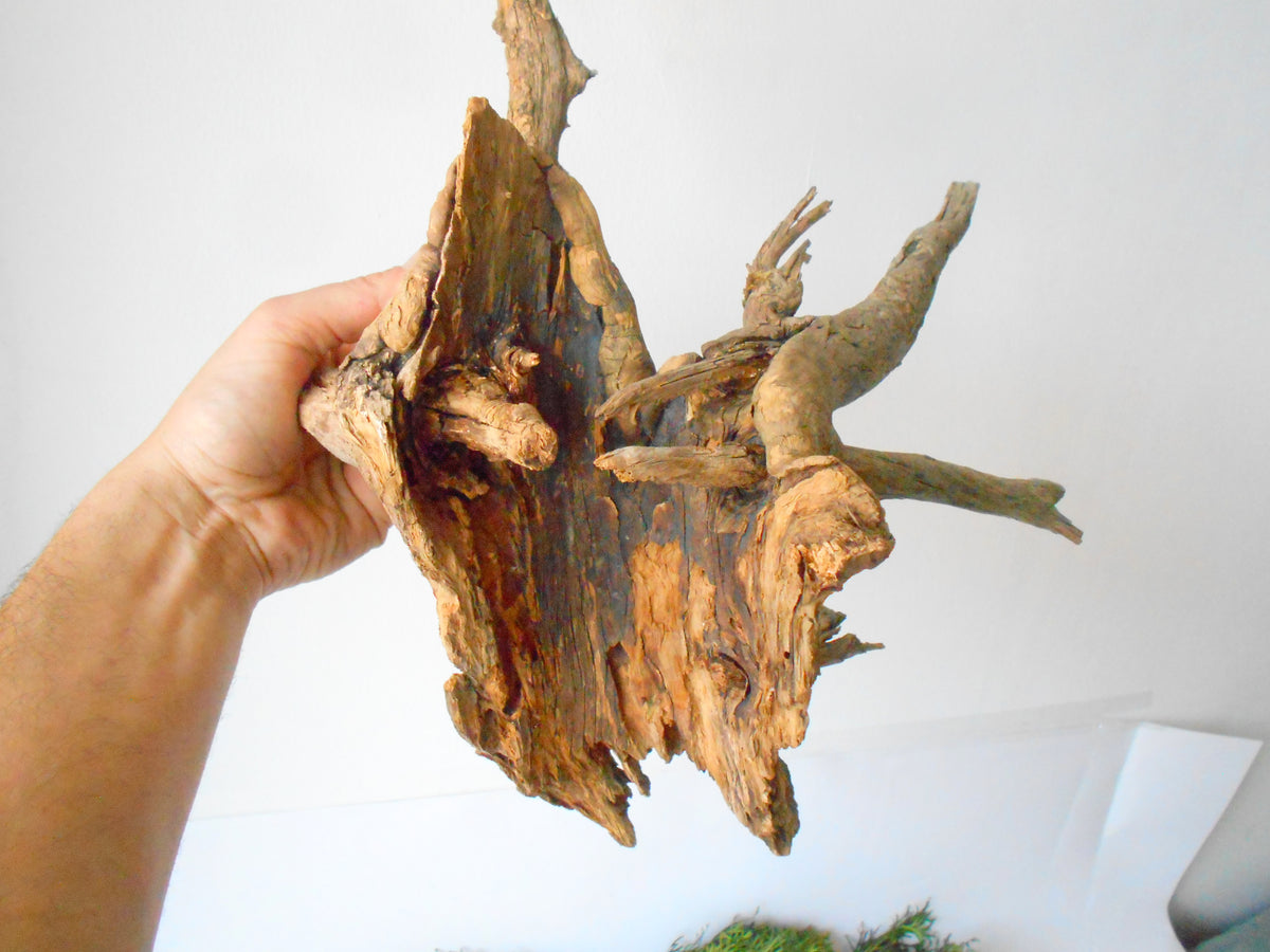 This is a naturally formed driftwood with a unique surface formed in a forest in the Rhodopes Mountain in Southern Europe- country Bulgaria. This piece of wood has been formed for many years and time has exposed the inner parts of the old tree wood. This &#39;specimen&#39; reminds me of an old deer with antlers.  Size: about 18&#39;&#39; x 10&#39;&#39; x 12&#39;&#39;-&amp;nbsp; 46 x 25 x 30 cm.&amp;nbsp;