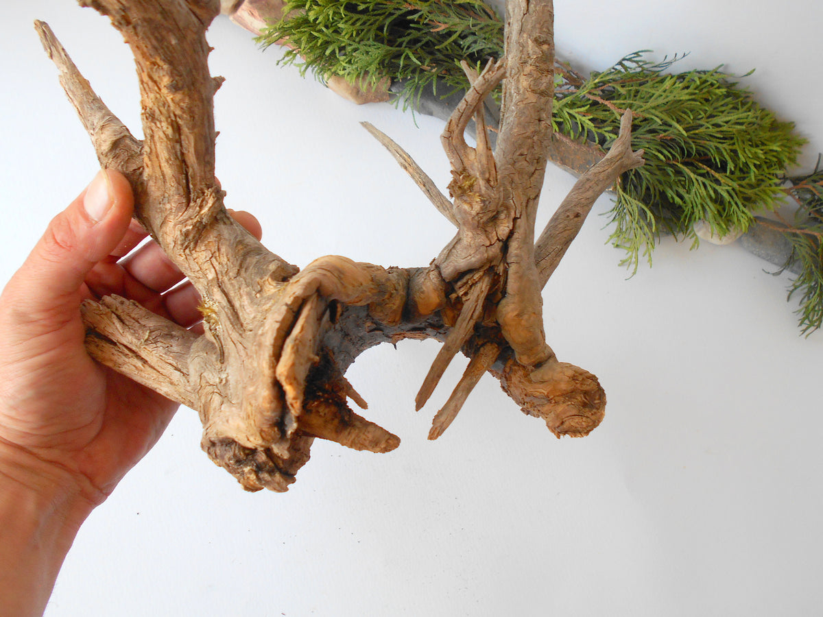 This is a naturally formed driftwood with a unique surface formed in a forest in the Rhodopes Mountain in Southern Europe- country Bulgaria. This piece of wood has been formed for many years and time has exposed the inner parts of the old tree wood. This &#39;specimen&#39; reminds me of an old deer with antlers.  Size: about 18&#39;&#39; x 10&#39;&#39; x 12&#39;&#39;-&amp;nbsp; 46 x 25 x 30 cm.&amp;nbsp;