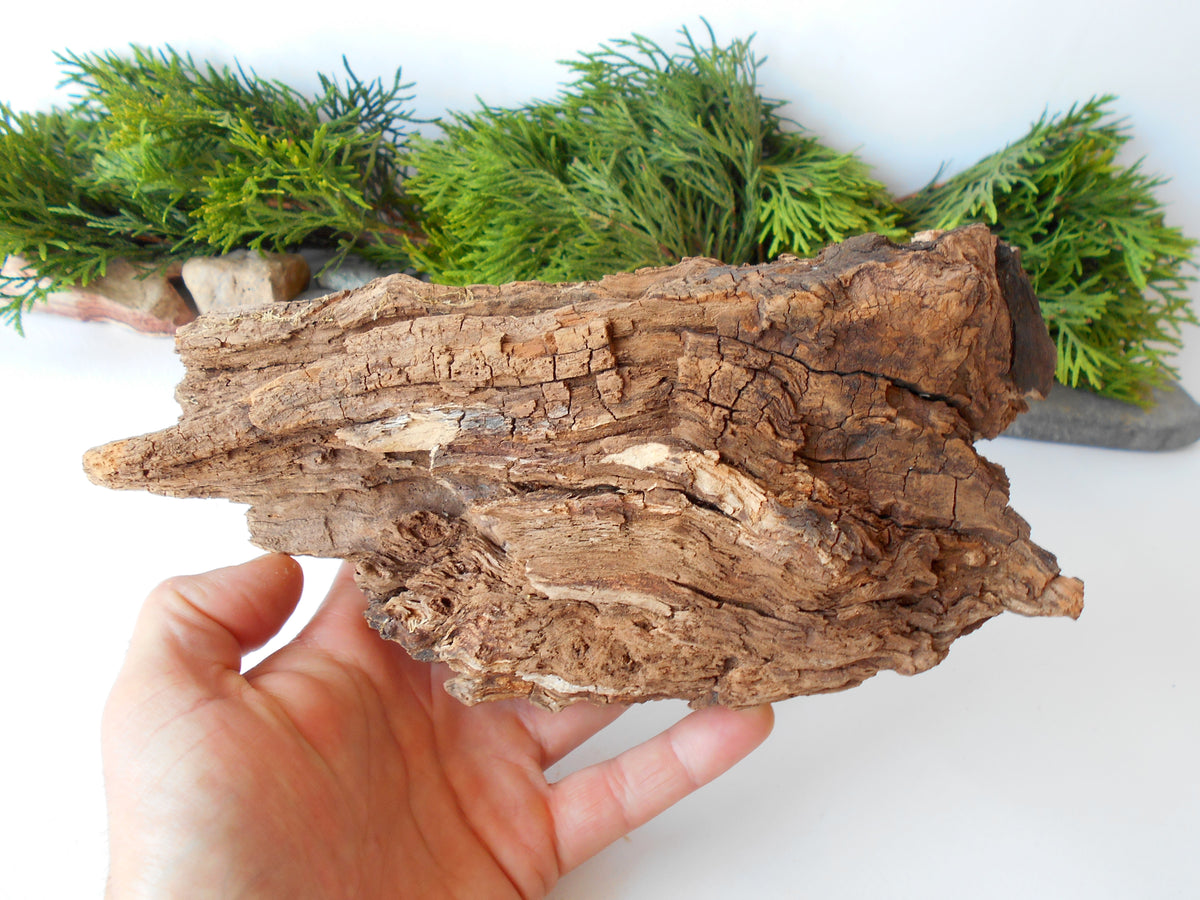 This is a naturally formed driftwood with a unique surface formed in a forest in the Rhodopes Mountain in Southern Europe- country Bulgaria. This piece of wood has been formed for many years and time has exposed the inner parts of the old tree wood.&amp;nbsp;  Size: about 10&#39;&#39; x 5&#39;&#39; x 3.5&#39;&#39;-&amp;nbsp; 25 x 13 x 9 cm.&amp;nbsp;