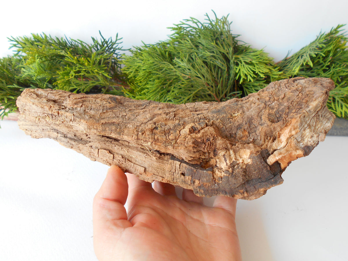 This is a naturally formed driftwood with a unique surface formed in a forest in the Rhodopes Mountain in Southern Europe- country Bulgaria. This piece of wood has been formed for many years and time has exposed the inner parts of the old tree wood.&amp;nbsp;  Size: about 10&#39;&#39; x 5&#39;&#39; x 3.5&#39;&#39;-&amp;nbsp; 25 x 13 x 9 cm.&amp;nbsp;