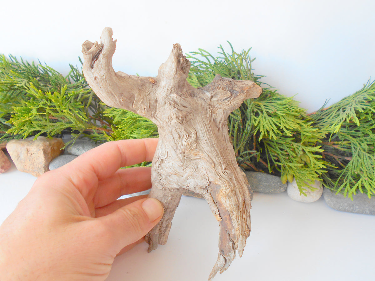 This is a naturally formed driftwood with a unique surface formed in a forest in the Rhodopes Mountain in Southern Europe- country Bulgaria. This piece of wood has been formed for many years and time has exposed the inner parts of the old tree wood. It looks to me like a troll, what do you think?&amp;nbsp;  Size: about 7&#39;&#39; x 5&#39;&#39; x 3&#39;&#39;-&amp;nbsp; 18 x 13 x 8 cm.&amp;nbsp;