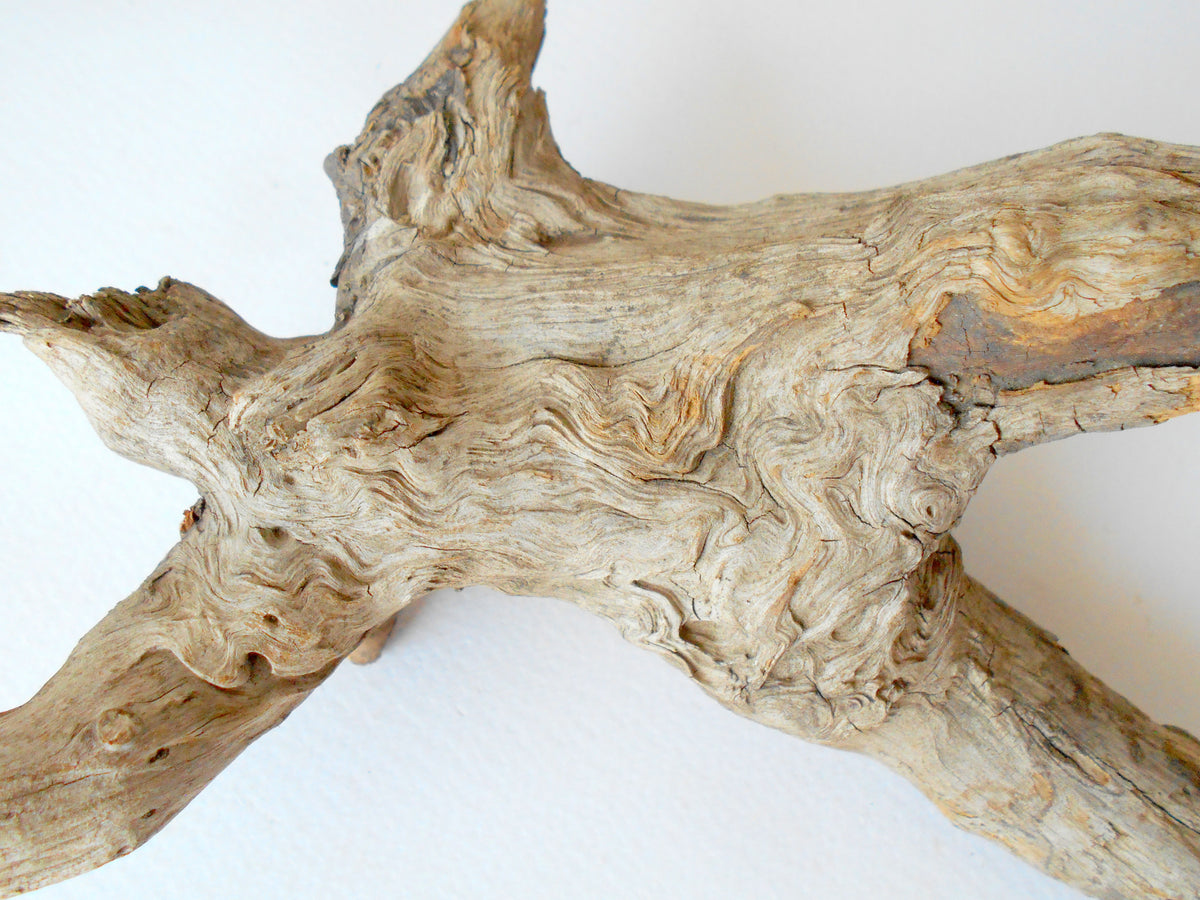 This is a naturally formed driftwood with a unique surface formed in a forest in the Rhodopes Mountain in Southern Europe- country Bulgaria. This piece of wood has been formed for many years and time has exposed the inner parts of the old tree wood. It looks to me like a troll, what do you think?&amp;nbsp;  Size: about 7&#39;&#39; x 5&#39;&#39; x 3&#39;&#39;-&amp;nbsp; 18 x 13 x 8 cm.&amp;nbsp;