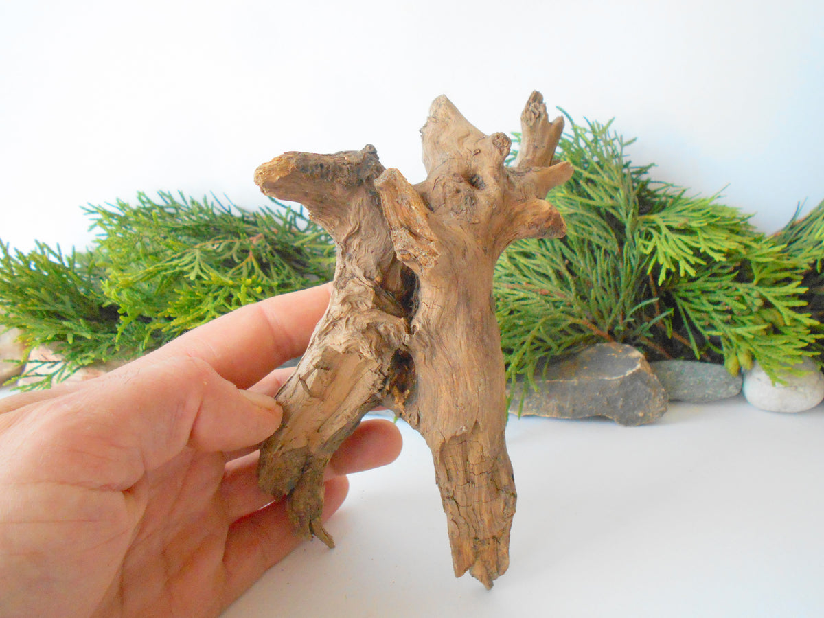 This is a naturally formed driftwood with a unique surface formed in a forest in the Rhodopes Mountain in Southern Europe- country Bulgaria. This piece of wood has been formed for many years and time has exposed the inner parts of the old tree wood. It looks to me like a troll, what do you think?&amp;nbsp;  Size: about 7&#39;&#39; x 5&#39;&#39; x 3&#39;&#39;-&amp;nbsp; 18 x 13 x 8 cm.&amp;nbsp;