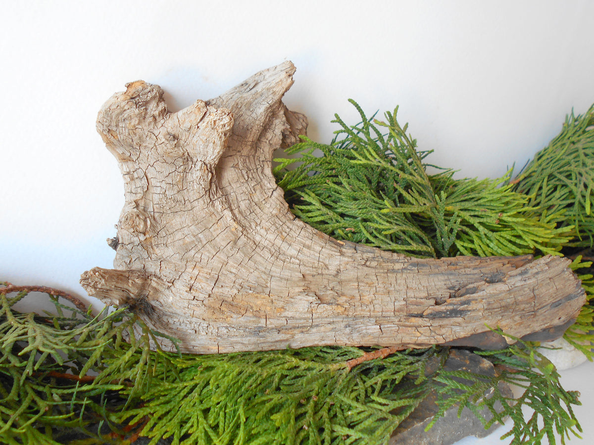 This is a naturally formed driftwood with a unique surface formed in a forest in the Rhodopes Mountain in Southern Europe- country Bulgaria. This piece of wood has been formed for many years and time has exposed the inner parts of the old tree wood.&amp;nbsp;  Size: about&amp;nbsp; 8&#39;&#39; x 5&#39;&#39; x 2&#39;&#39;-&amp;nbsp; 20 x 13 x 5 cm.&amp;nbsp;