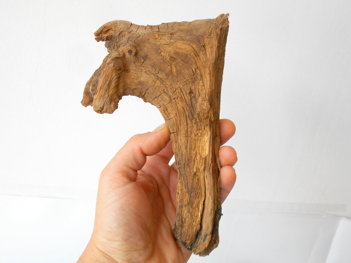 This is a naturally formed driftwood with a unique surface formed in a forest in the Rhodopes Mountain in Southern Europe- country Bulgaria. This piece of wood has been formed for many years and time has exposed the inner parts of the old tree wood.&amp;nbsp;  Size: about&amp;nbsp; 8&#39;&#39; x 5&#39;&#39; x 2&#39;&#39;-&amp;nbsp; 20 x 13 x 5 cm.&amp;nbsp;