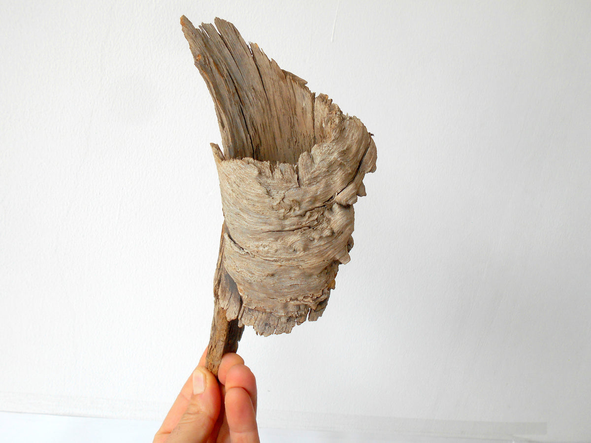 This is a naturally formed driftwood with a unique surface formed in a forest in the Rhodopes Mountain in Southern Europe- country Bulgaria. This piece of wood has been formed for many years and time has exposed the inner parts of the old tree wood.&amp;nbsp;  Size: about&amp;nbsp; 9&#39;&#39; x 2.5&#39;&#39; x 3&#39;&#39;-&amp;nbsp; 23 x 6 x 8 cm.&amp;nbsp;