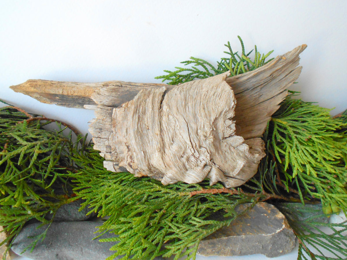 This is a naturally formed driftwood with a unique surface formed in a forest in the Rhodopes Mountain in Southern Europe- country Bulgaria. This piece of wood has been formed for many years and time has exposed the inner parts of the old tree wood.&amp;nbsp;  Size: about&amp;nbsp; 9&#39;&#39; x 2.5&#39;&#39; x 3&#39;&#39;-&amp;nbsp; 23 x 6 x 8 cm.&amp;nbsp;