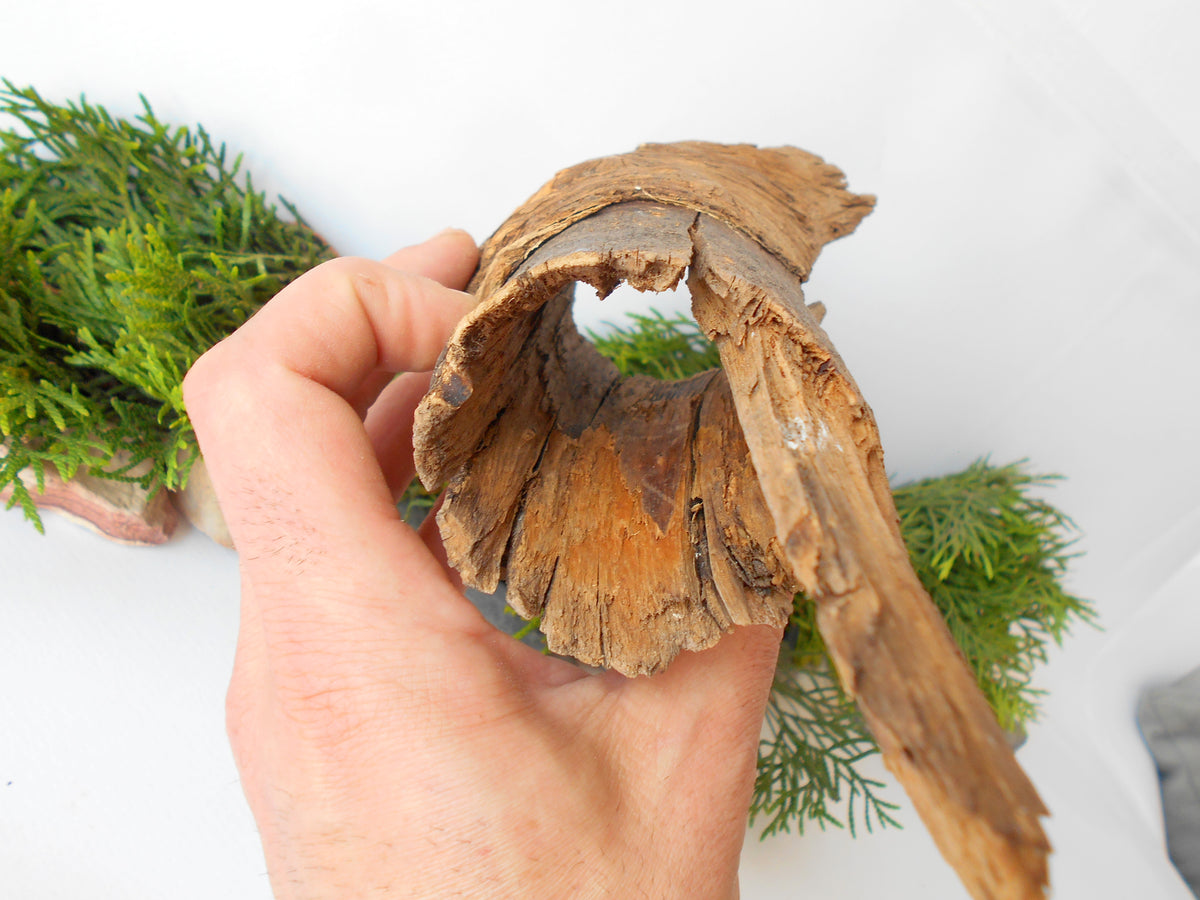 This is a naturally formed driftwood with a unique surface formed in a forest in the Rhodopes Mountain in Southern Europe- country Bulgaria. This piece of wood has been formed for many years and time has exposed the inner parts of the old tree wood.&amp;nbsp;  Size: about&amp;nbsp; 9&#39;&#39; x 2.5&#39;&#39; x 3&#39;&#39;-&amp;nbsp; 23 x 6 x 8 cm.&amp;nbsp;