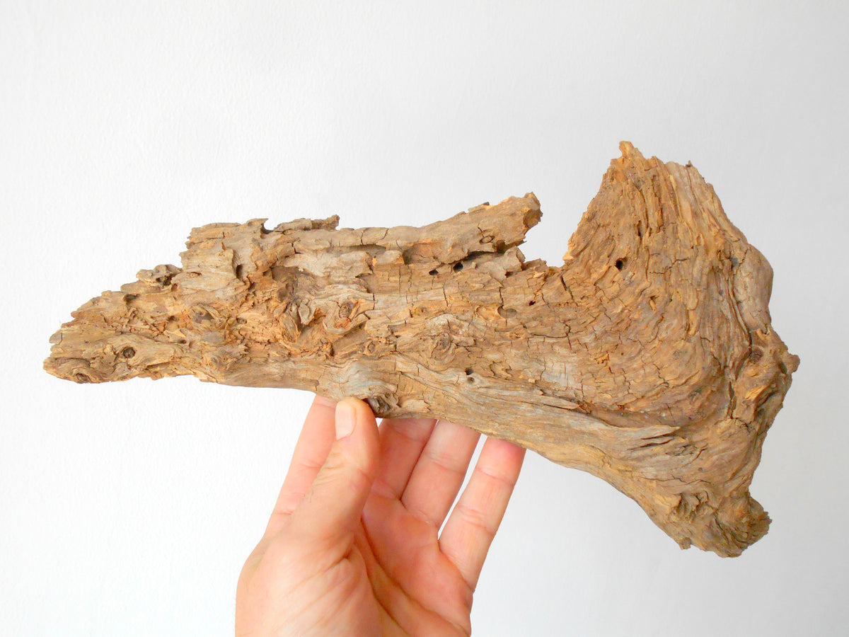 This is a naturally formed driftwood with a unique surface formed in a forest in the Rhodopes Mountain in Southern Europe- country Bulgaria. This piece of wood has been formed for many years and time has exposed the inner parts of the old tree wood.&amp;nbsp;  Size: about 11.5&#39;&#39; x 6&#39;&#39; x 2&#39;&#39;-&amp;nbsp; 30 x 15 x 5 cm.&amp;nbsp;