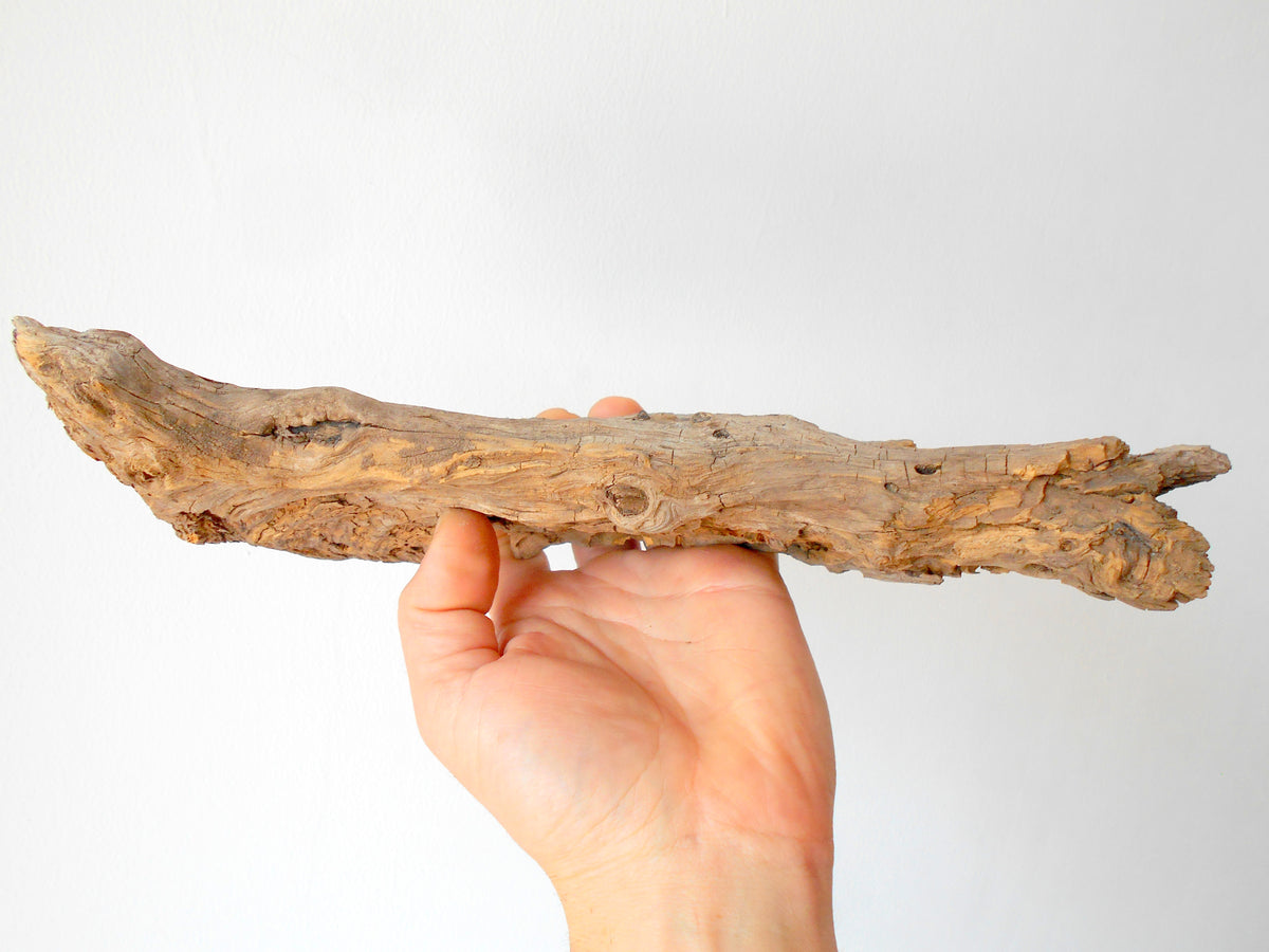 This is a naturally formed driftwood with a unique surface formed in a forest in the Rhodopes Mountain in Southern Europe- country Bulgaria. This piece of wood has been formed for many years and time has exposed the inner parts of the old tree wood.&amp;nbsp;  Size: about 11.5&#39;&#39; x 6&#39;&#39; x 2&#39;&#39;-&amp;nbsp; 30 x 15 x 5 cm.&amp;nbsp;