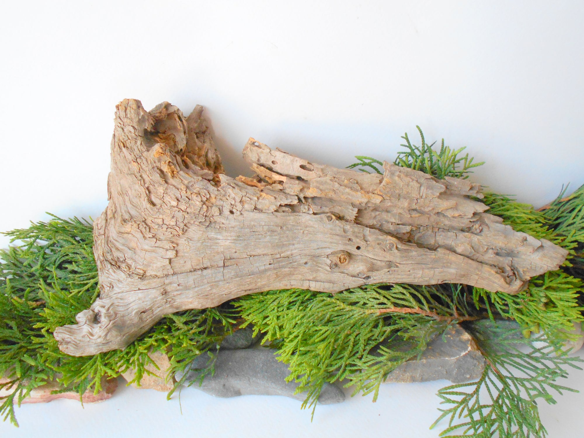 This is a naturally formed driftwood with a unique surface formed in a forest in the Rhodopes Mountain in Southern Europe- country Bulgaria. This piece of wood has been formed for many years and time has exposed the inner parts of the old tree wood.&nbsp;  Size: about 11.5'' x 6'' x 2''-&nbsp; 30 x 15 x 5 cm.&nbsp;
