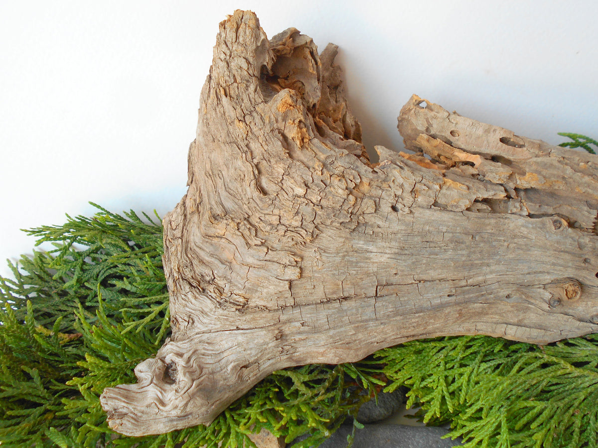 This is a naturally formed driftwood with a unique surface formed in a forest in the Rhodopes Mountain in Southern Europe- country Bulgaria. This piece of wood has been formed for many years and time has exposed the inner parts of the old tree wood.&amp;nbsp;  Size: about 11.5&#39;&#39; x 6&#39;&#39; x 2&#39;&#39;-&amp;nbsp; 30 x 15 x 5 cm.&amp;nbsp;