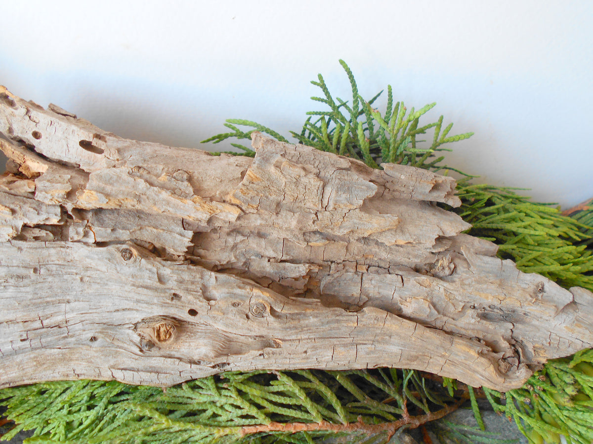 This is a naturally formed driftwood with a unique surface formed in a forest in the Rhodopes Mountain in Southern Europe- country Bulgaria. This piece of wood has been formed for many years and time has exposed the inner parts of the old tree wood.&amp;nbsp;  Size: about 11.5&#39;&#39; x 6&#39;&#39; x 2&#39;&#39;-&amp;nbsp; 30 x 15 x 5 cm.&amp;nbsp;