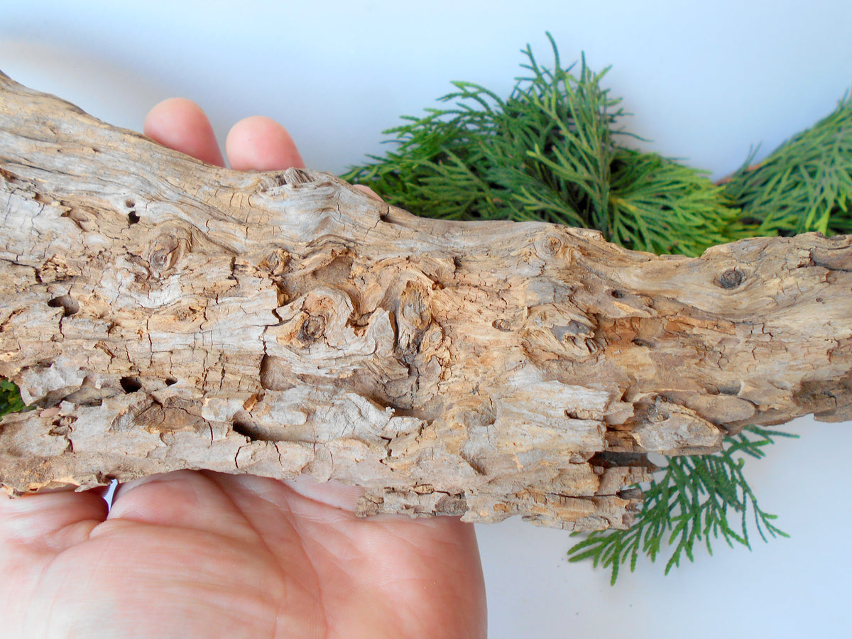 This is a naturally formed driftwood with a unique surface formed in a forest in the Rhodopes Mountain in Southern Europe- country Bulgaria. This piece of wood has been formed for many years and time has exposed the inner parts of the old tree wood.&amp;nbsp;  Size: about 11.5&#39;&#39; x 6&#39;&#39; x 2&#39;&#39;-&amp;nbsp; 30 x 15 x 5 cm.&amp;nbsp;