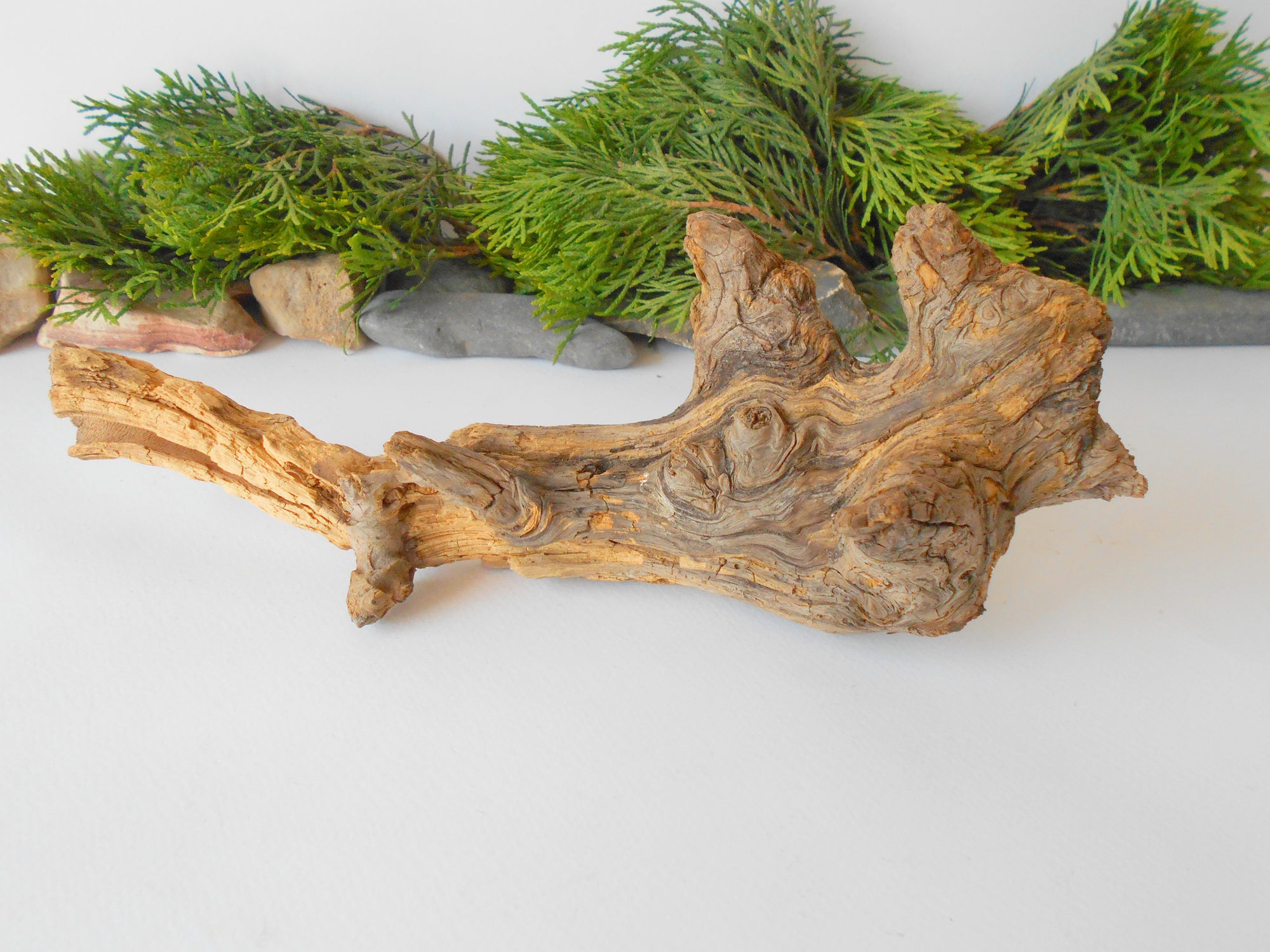 This is a naturally formed driftwood with a unique surface formed in a forest in the Rhodopes Mountain in Southern Europe- country Bulgaria. This piece of wood has been formed for many years and time has exposed the inner parts of the old tree wood.&nbsp;  Size: about&nbsp; 11'' x 4.5'' x 4''-&nbsp; 28 x 11.5 x 10 cm.&nbsp;