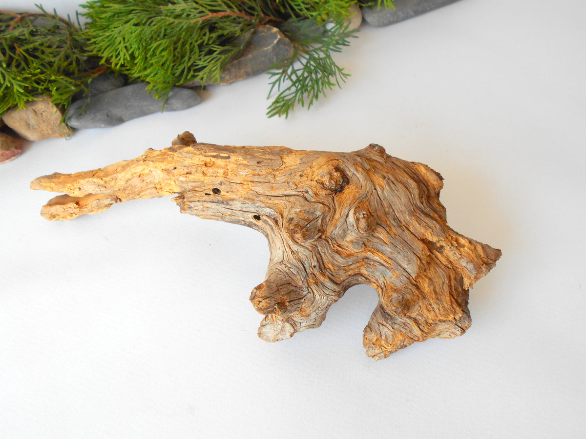 This is a naturally formed driftwood with a unique surface formed in a forest in the Rhodopes Mountain in Southern Europe- country Bulgaria. This piece of wood has been formed for many years and time has exposed the inner parts of the old tree wood.&amp;nbsp;  Size: about&amp;nbsp; 11&#39;&#39; x 4.5&#39;&#39; x 4&#39;&#39;-&amp;nbsp; 28 x 11.5 x 10 cm.&amp;nbsp;