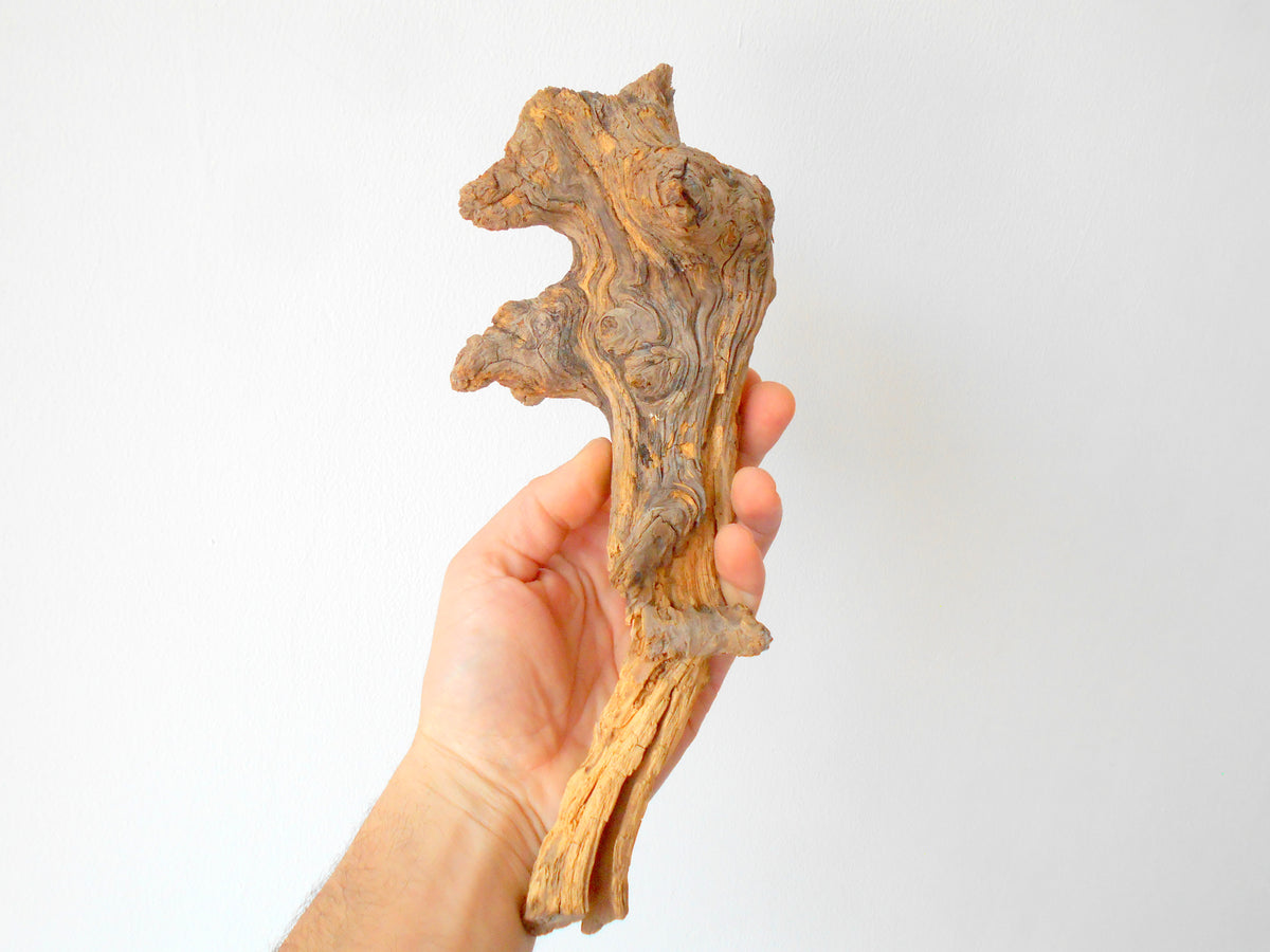 This is a naturally formed driftwood with a unique surface formed in a forest in the Rhodopes Mountain in Southern Europe- country Bulgaria. This piece of wood has been formed for many years and time has exposed the inner parts of the old tree wood.&amp;nbsp;  Size: about&amp;nbsp; 11&#39;&#39; x 4.5&#39;&#39; x 4&#39;&#39;-&amp;nbsp; 28 x 11.5 x 10 cm.&amp;nbsp;