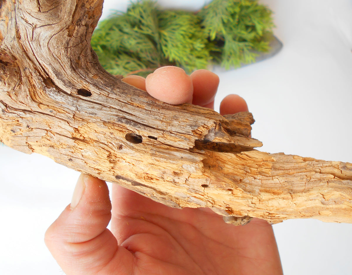 This is a naturally formed driftwood with a unique surface formed in a forest in the Rhodopes Mountain in Southern Europe- country Bulgaria. This piece of wood has been formed for many years and time has exposed the inner parts of the old tree wood.&amp;nbsp;  Size: about&amp;nbsp; 11&#39;&#39; x 4.5&#39;&#39; x 4&#39;&#39;-&amp;nbsp; 28 x 11.5 x 10 cm.&amp;nbsp;