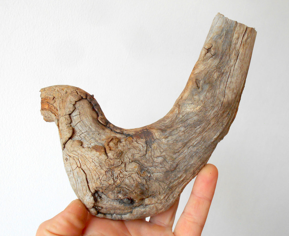 This is a naturally formed driftwood with a unique surface formed in a forest in the Rhodopes Mountain in Southern Europe- country Bulgaria. This piece of wood has been formed for many years and time has exposed the inner parts of the old tree wood. It looks to me like a pipe.&amp;nbsp;  Size: about 7.5&#39;&#39; x 6&#39;&#39; x 2&#39;&#39;-&amp;nbsp; 19 x 15 x 5 cm.&amp;nbsp;