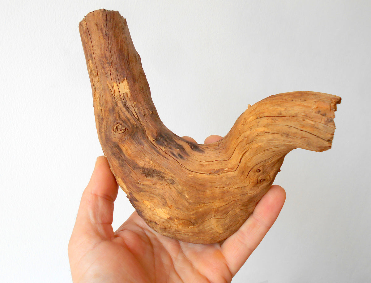 This is a naturally formed driftwood with a unique surface formed in a forest in the Rhodopes Mountain in Southern Europe- country Bulgaria. This piece of wood has been formed for many years and time has exposed the inner parts of the old tree wood. It looks to me like a pipe.&amp;nbsp;  Size: about 7.5&#39;&#39; x 6&#39;&#39; x 2&#39;&#39;-&amp;nbsp; 19 x 15 x 5 cm.&amp;nbsp;