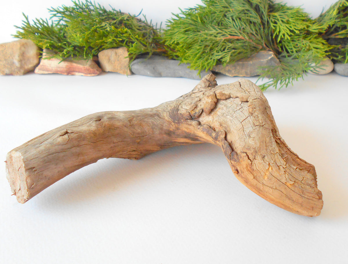 This is a naturally formed driftwood with a unique surface formed in a forest in the Rhodopes Mountain in Southern Europe- country Bulgaria. This piece of wood has been formed for many years and time has exposed the inner parts of the old tree wood. It looks to me like a pipe.&amp;nbsp;  Size: about 7.5&#39;&#39; x 6&#39;&#39; x 2&#39;&#39;-&amp;nbsp; 19 x 15 x 5 cm.&amp;nbsp;