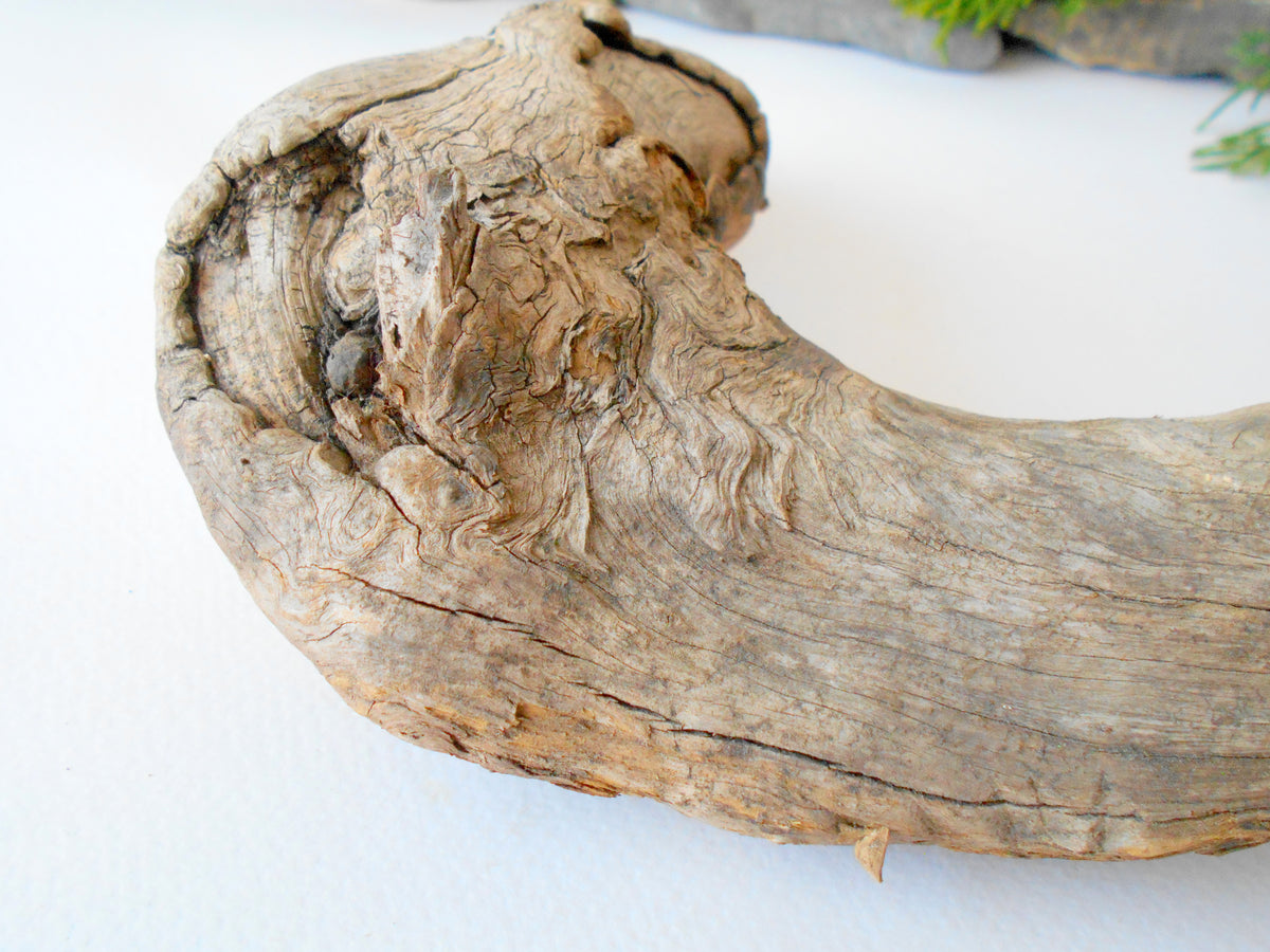 This is a naturally formed driftwood with a unique surface formed in a forest in the Rhodopes Mountain in Southern Europe- country Bulgaria. This piece of wood has been formed for many years and time has exposed the inner parts of the old tree wood. It looks to me like a pipe.&amp;nbsp;  Size: about 7.5&#39;&#39; x 6&#39;&#39; x 2&#39;&#39;-&amp;nbsp; 19 x 15 x 5 cm.&amp;nbsp;