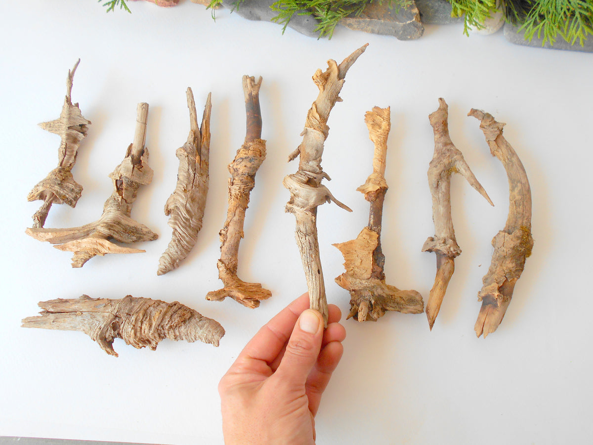 These are set of 9 naturally formed driftwood with a unique surface formed in a forest in the Rhodopes Mountain in Southern Europe- country Bulgaria. These pieces of wood have been formed for many years and time has exposed the inner parts of the old tree wood. They used to be branches of the trees. Now they look like horns or also like magical staffs.  Size: the driftwoods are from 6&#39;&#39; to 8.5&#39;&#39; - 15 to 22 cm.&amp;nbsp;