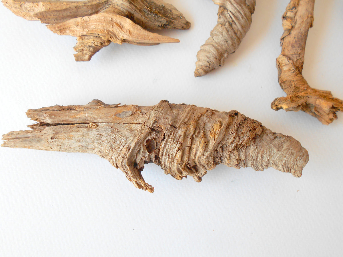 These are set of 9 naturally formed driftwood with a unique surface formed in a forest in the Rhodopes Mountain in Southern Europe- country Bulgaria. These pieces of wood have been formed for many years and time has exposed the inner parts of the old tree wood. They used to be branches of the trees. Now they look like horns or also like magical staffs.  Size: the driftwoods are from 6&#39;&#39; to 8.5&#39;&#39; - 15 to 22 cm.&amp;nbsp;