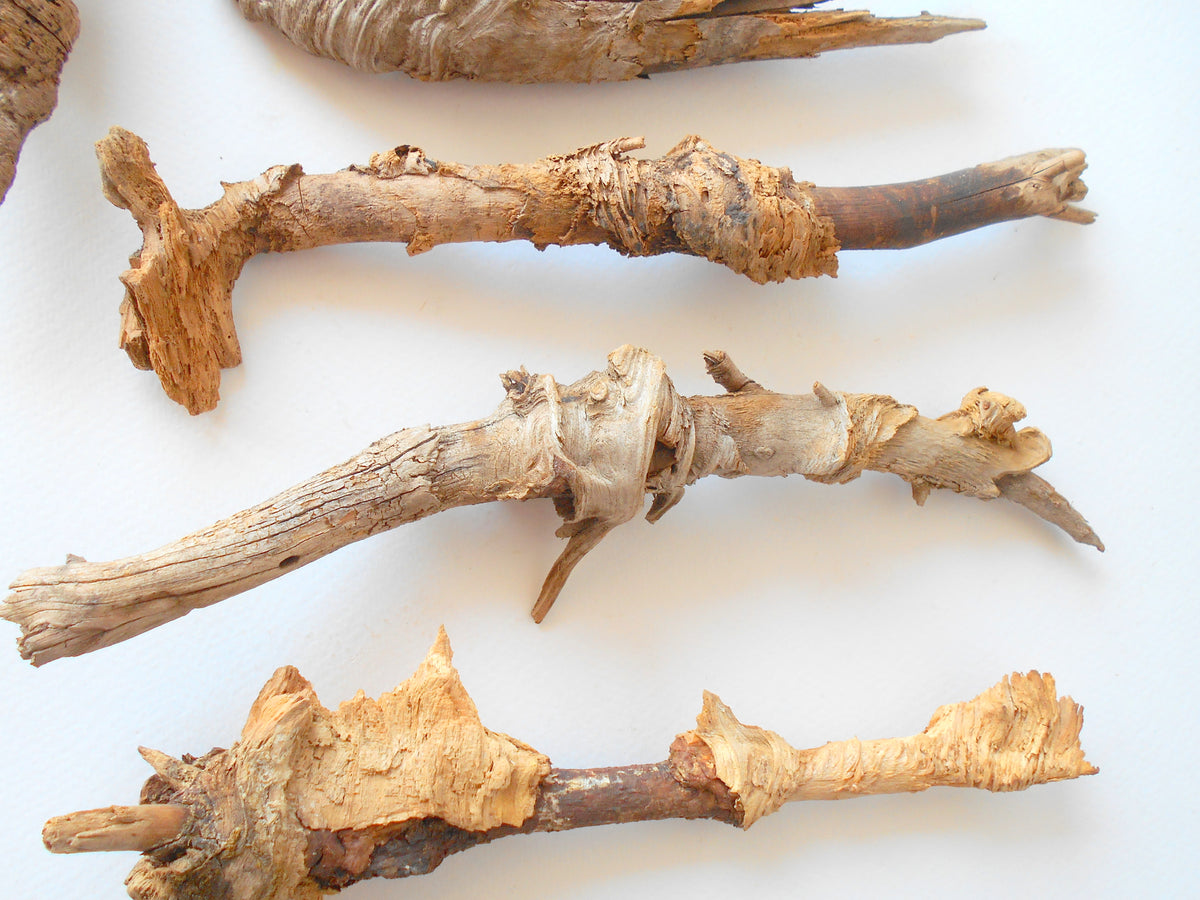 These are set of 9 naturally formed driftwood with a unique surface formed in a forest in the Rhodopes Mountain in Southern Europe- country Bulgaria. These pieces of wood have been formed for many years and time has exposed the inner parts of the old tree wood. They used to be branches of the trees. Now they look like horns or also like magical staffs.  Size: the driftwoods are from 6&#39;&#39; to 8.5&#39;&#39; - 15 to 22 cm.&amp;nbsp;