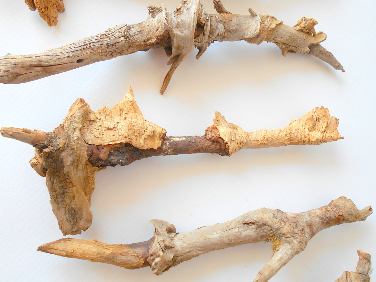 These are set of 9 naturally formed driftwood with a unique surface formed in a forest in the Rhodopes Mountain in Southern Europe- country Bulgaria. These pieces of wood have been formed for many years and time has exposed the inner parts of the old tree wood. They used to be branches of the trees. Now they look like horns or also like magical staffs.  Size: the driftwoods are from 6&#39;&#39; to 8.5&#39;&#39; - 15 to 22 cm.&amp;nbsp;