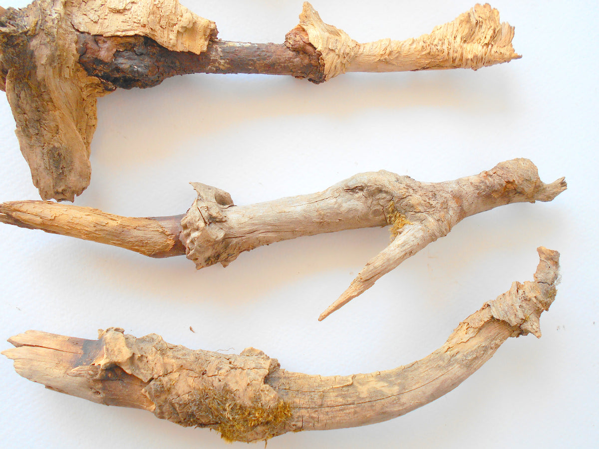 These are set of 9 naturally formed driftwood with a unique surface formed in a forest in the Rhodopes Mountain in Southern Europe- country Bulgaria. These pieces of wood have been formed for many years and time has exposed the inner parts of the old tree wood. They used to be branches of the trees. Now they look like horns or also like magical staffs.  Size: the driftwoods are from 6&#39;&#39; to 8.5&#39;&#39; - 15 to 22 cm.&amp;nbsp;