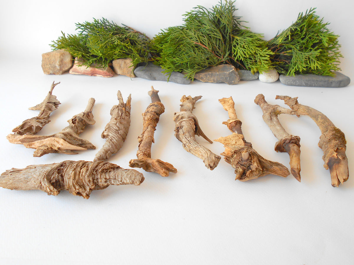 These are set of 9 naturally formed driftwood with a unique surface formed in a forest in the Rhodopes Mountain in Southern Europe- country Bulgaria. These pieces of wood have been formed for many years and time has exposed the inner parts of the old tree wood. They used to be branches of the trees. Now they look like horns or also like magical staffs.  Size: the driftwoods are from 6&#39;&#39; to 8.5&#39;&#39; - 15 to 22 cm.&amp;nbsp;