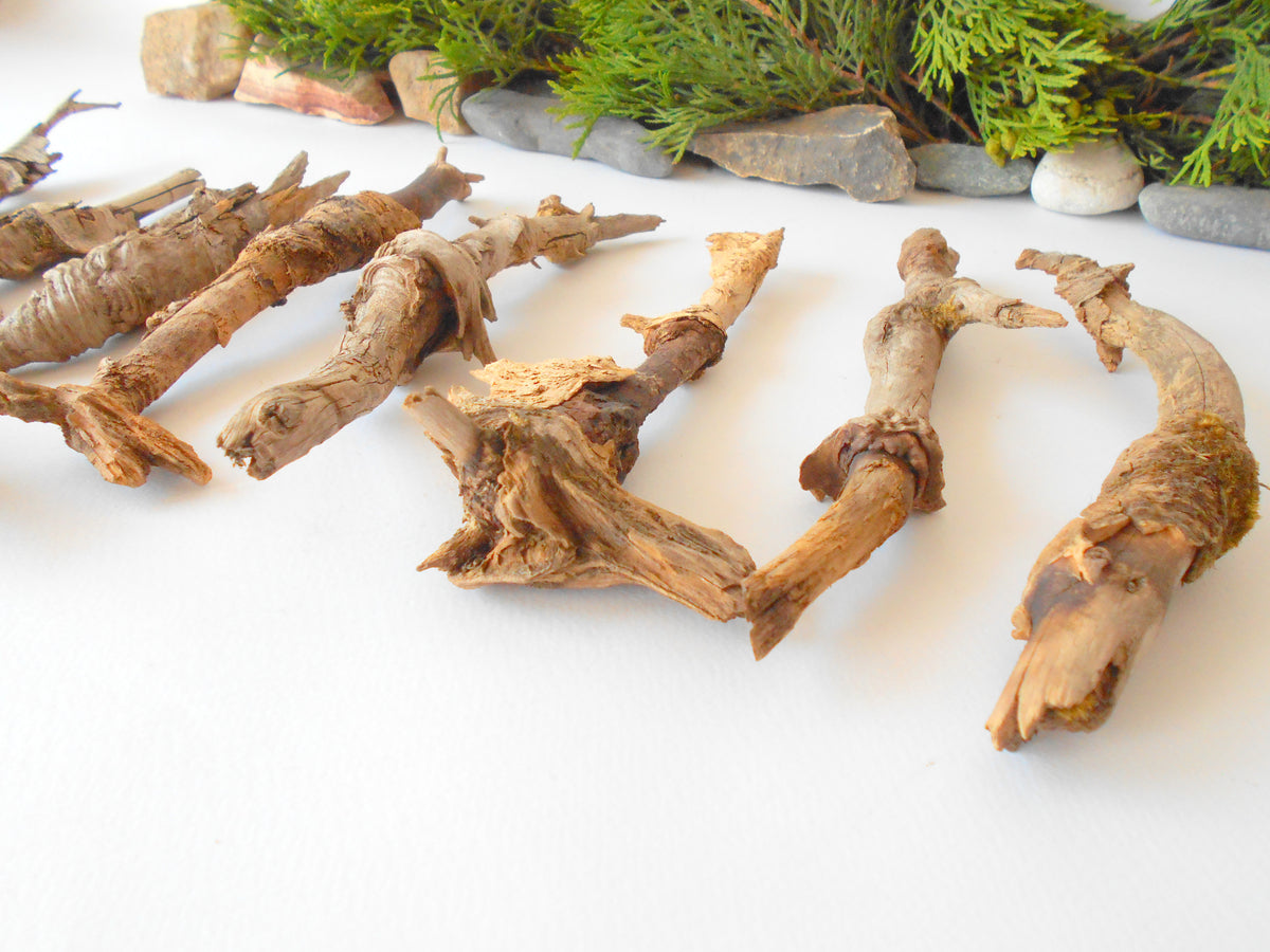 These are set of 9 naturally formed driftwood with a unique surface formed in a forest in the Rhodopes Mountain in Southern Europe- country Bulgaria. These pieces of wood have been formed for many years and time has exposed the inner parts of the old tree wood. They used to be branches of the trees. Now they look like horns or also like magical staffs.  Size: the driftwoods are from 6&#39;&#39; to 8.5&#39;&#39; - 15 to 22 cm.&amp;nbsp;