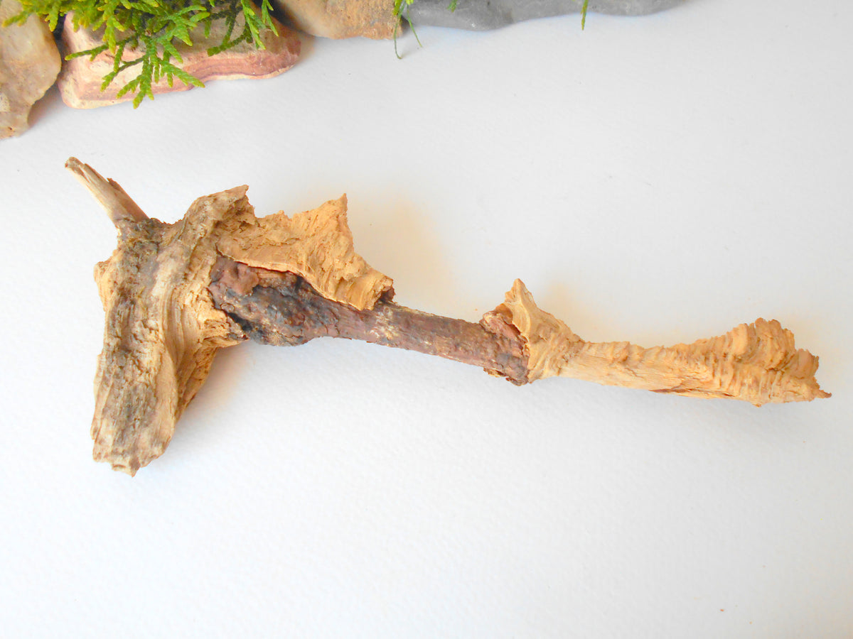 These are set of 9 naturally formed driftwood with a unique surface formed in a forest in the Rhodopes Mountain in Southern Europe- country Bulgaria. These pieces of wood have been formed for many years and time has exposed the inner parts of the old tree wood. They used to be branches of the trees. Now they look like horns or also like magical staffs.  Size: the driftwoods are from 6&#39;&#39; to 8.5&#39;&#39; - 15 to 22 cm.&amp;nbsp;