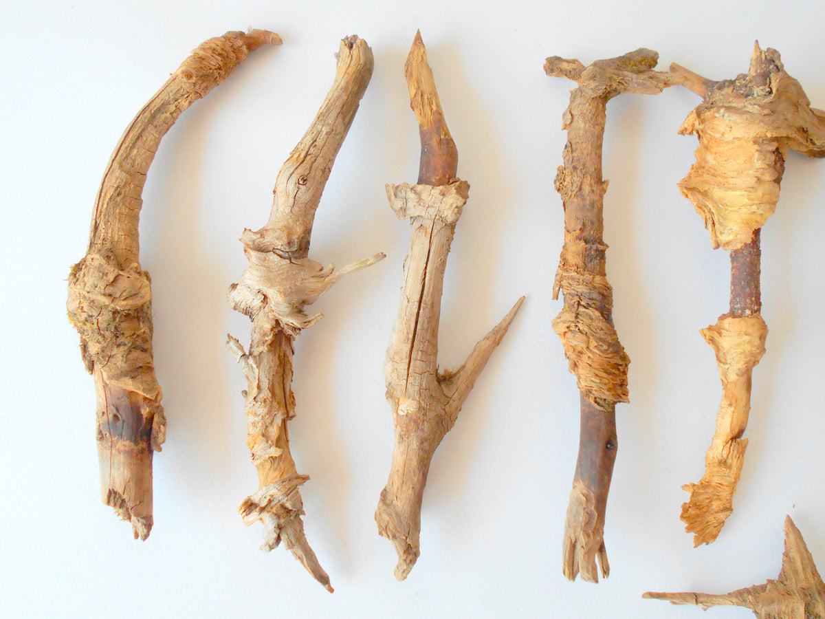 These are set of 9 naturally formed driftwood with a unique surface formed in a forest in the Rhodopes Mountain in Southern Europe- country Bulgaria. These pieces of wood have been formed for many years and time has exposed the inner parts of the old tree wood. They used to be branches of the trees. Now they look like horns or also like magical staffs.  Size: the driftwoods are from 6&#39;&#39; to 8.5&#39;&#39; - 15 to 22 cm.&amp;nbsp;