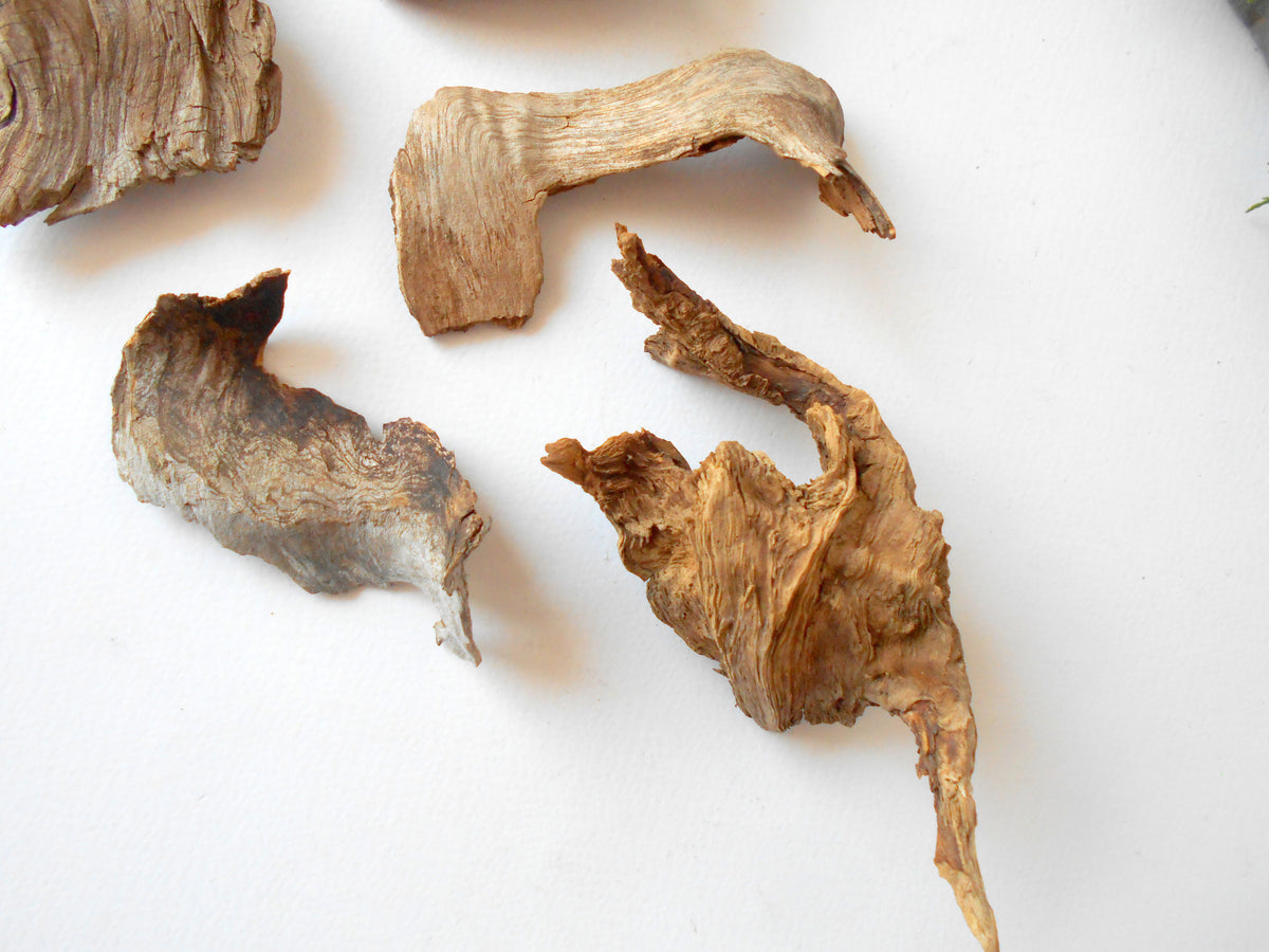 These are set of 9 naturally formed driftwood with a unique surface formed in a forest in the Rhodopes Mountain in Southern Europe- country Bulgaria. These pieces of wood have been formed for many years and time has exposed the inner parts of the old tree wood.&amp;nbsp;  Size: the driftwoods are about 4&#39;&#39; to 6&#39;&#39; - 10 to 15 cm.&amp;nbsp;