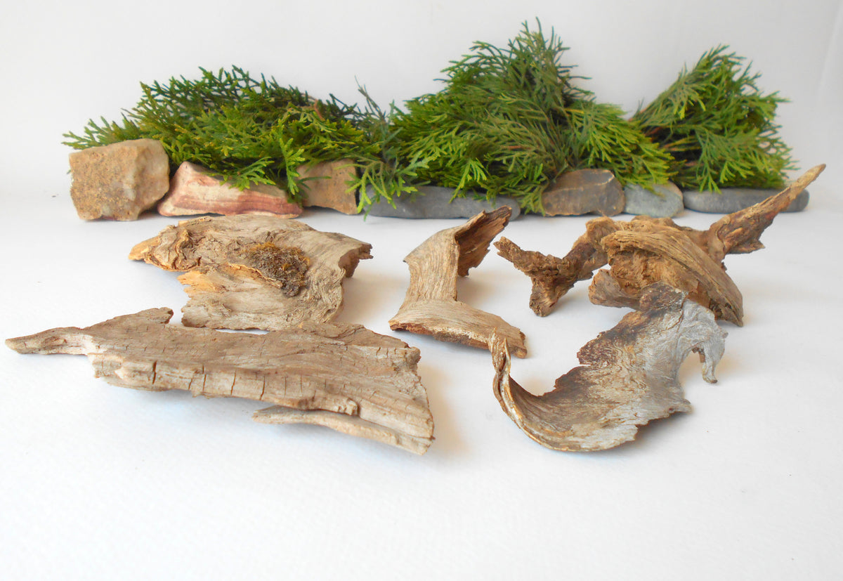 These are set of 9 naturally formed driftwood with a unique surface formed in a forest in the Rhodopes Mountain in Southern Europe- country Bulgaria. These pieces of wood have been formed for many years and time has exposed the inner parts of the old tree wood.&amp;nbsp;  Size: the driftwoods are about 4&#39;&#39; to 6&#39;&#39; - 10 to 15 cm.&amp;nbsp;